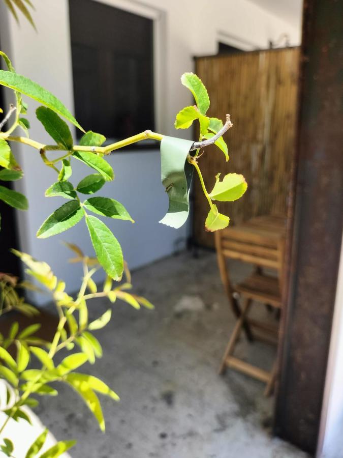 Casale Orgogliosa Hotel San Vito Chietino Ngoại thất bức ảnh